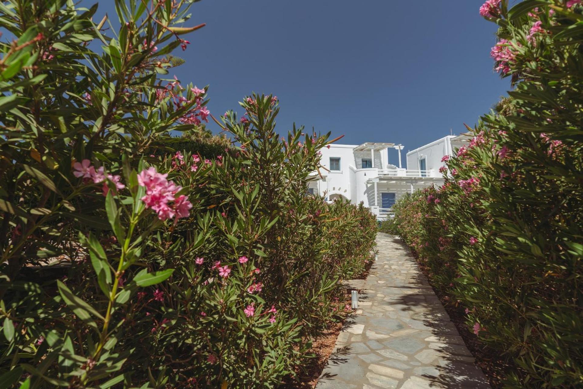Palm Heaven Boutique Apartments Antiparos Bagian luar foto